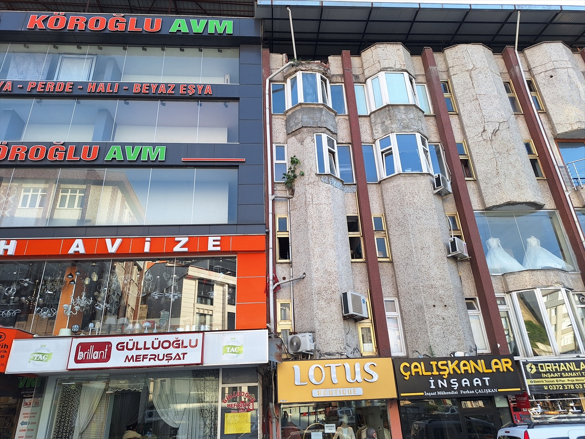 Zonguldak'ta binanın duvarında incir ağacı görenleri şaşırttı