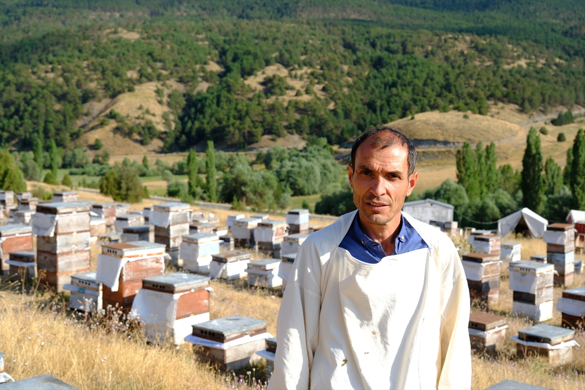Ailecek Bozok Yaylası'nda bal mesaisi