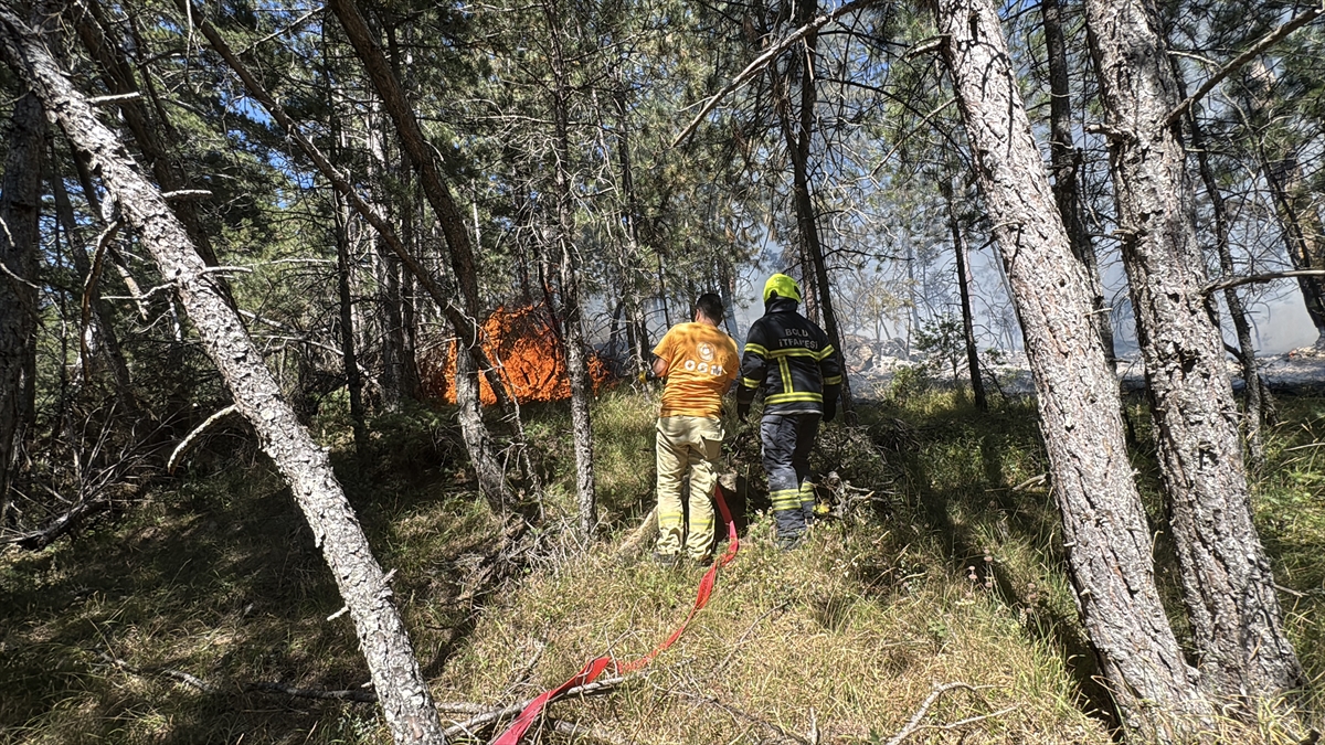 Bolu'da çıkan orman yangını kontrol altına alındı