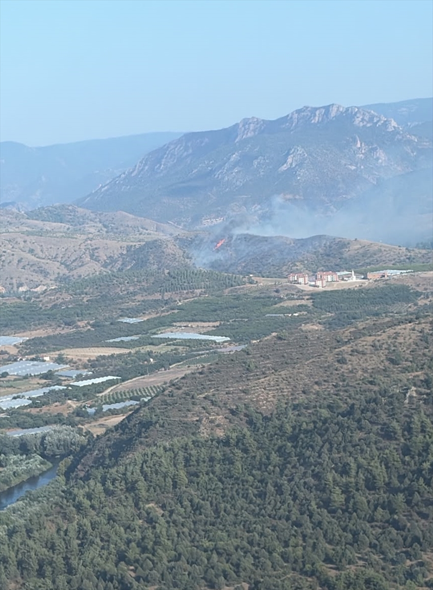 Bilecik'te ağaçlandırma sahası yangınına havadan müdahale