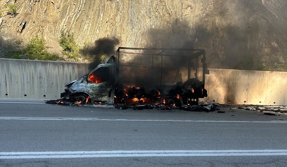 Sinop'ta kamyonet yangını: Araç kullanılamaz hale geldi
