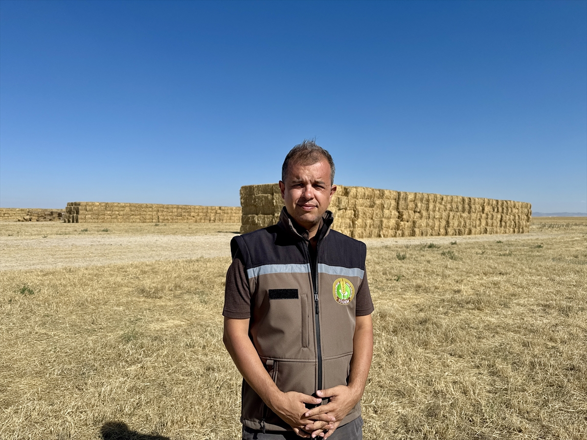 Ziraat Mühendisi Gönenç: Malya'da balya mesaisi sürüyor