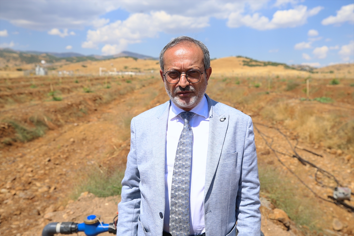 Bingöl Üniversitesinin taşlık arazileri akıllı teknolojiyle meyve bahçesine dönüştürülüyor