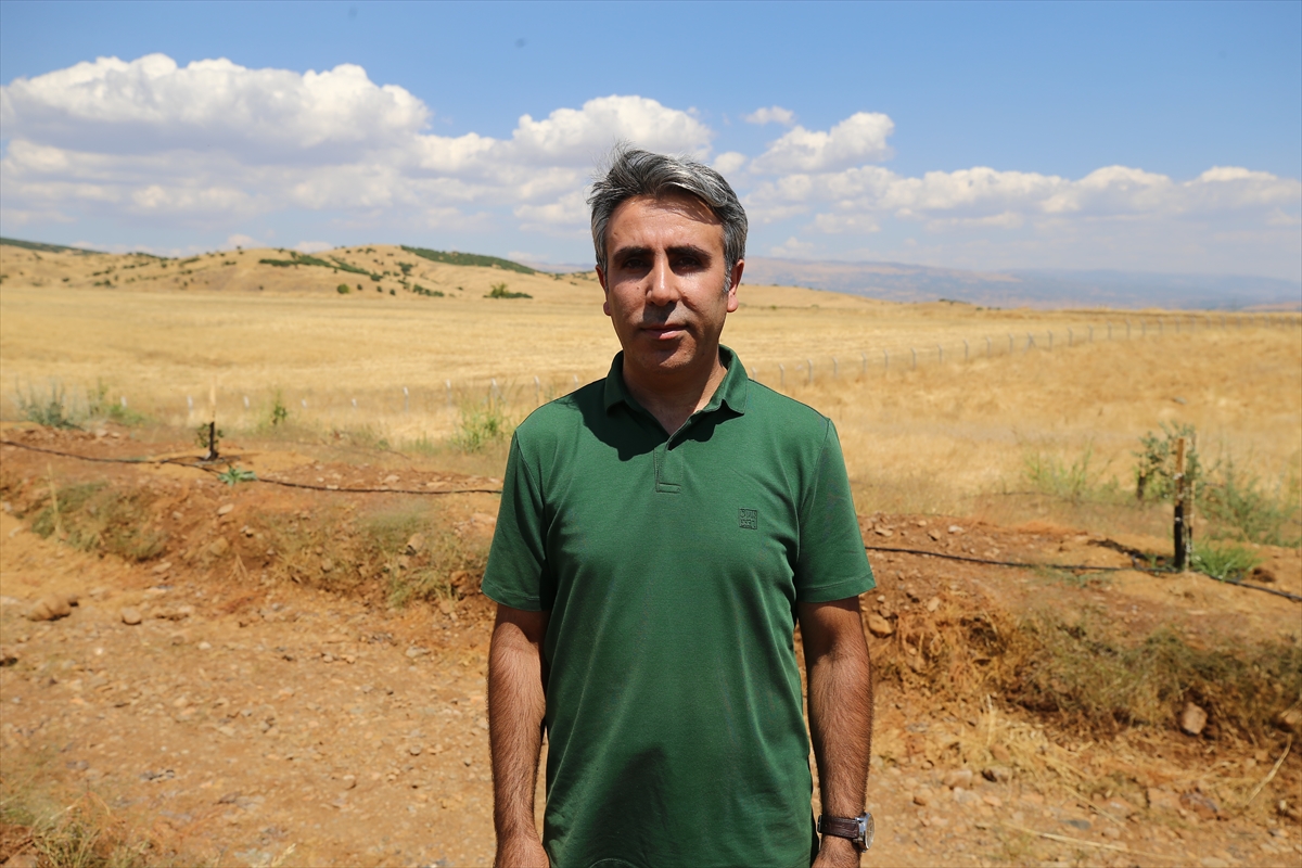 Bingöl Üniversitesinin taşlık arazileri akıllı teknolojiyle meyve bahçesine dönüştürülüyor