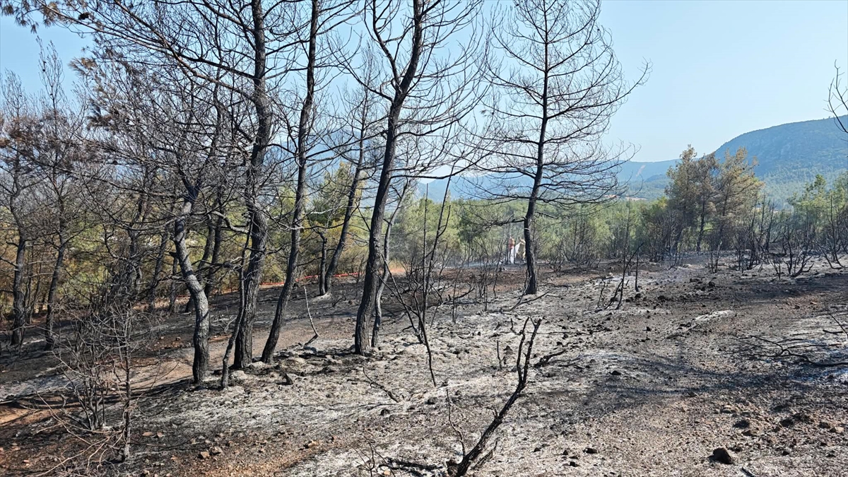 GÜNCELLEME - Bilecik'te ormanlık alanda çıkan yangın kontrol altına alındı