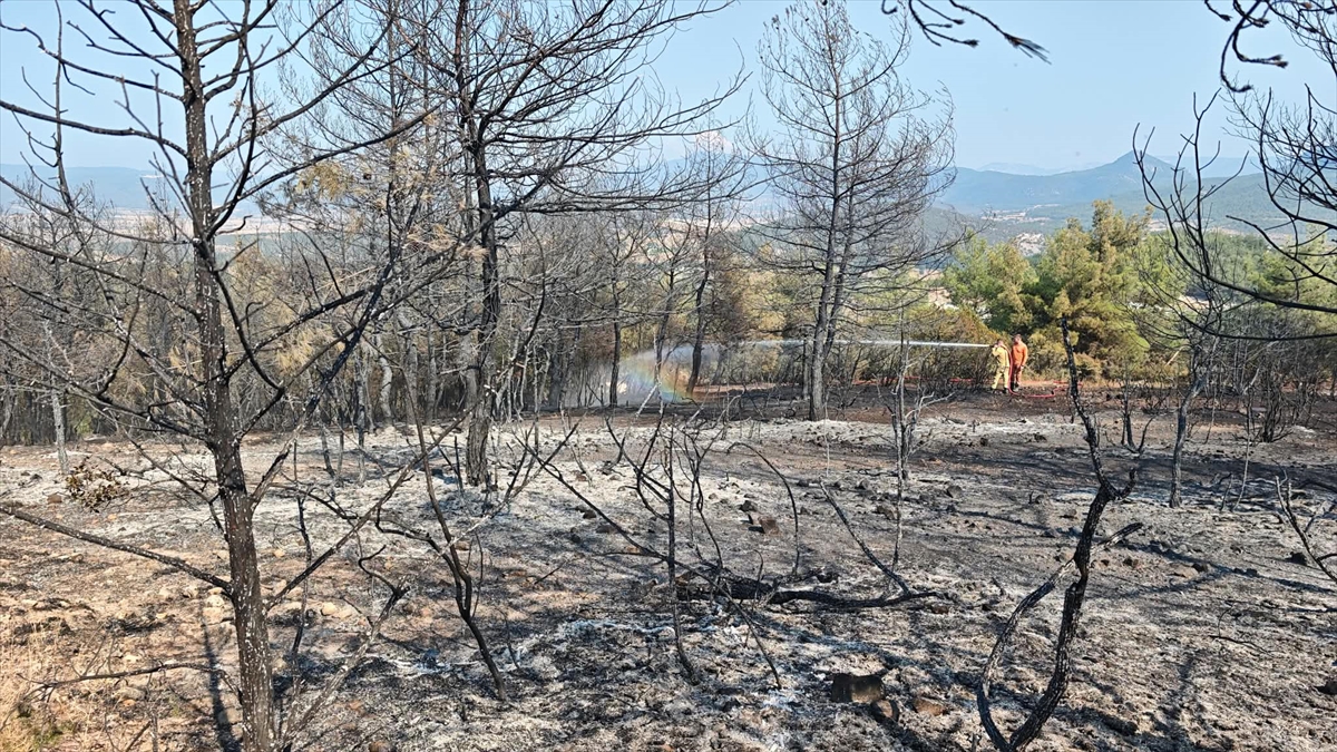 GÜNCELLEME - Bilecik'te ormanlık alanda çıkan yangın kontrol altına alındı