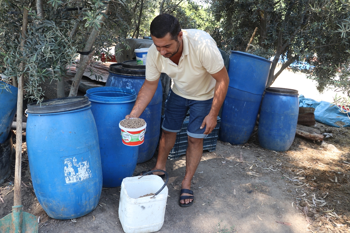 Bakanlık projesi sayesinde hayvancılığa dönen besici sürü sahibi oldu