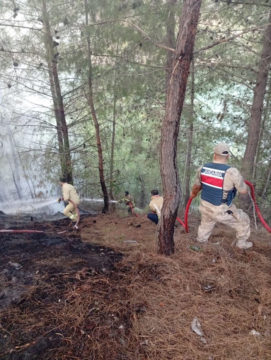 Hatay Yayladağı'ndaki orman yangını söndürüldü