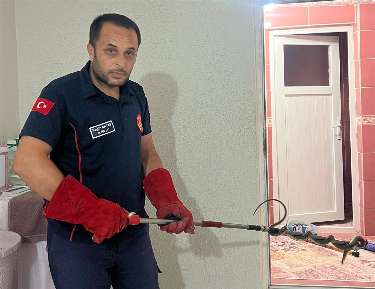 Tokat Niksar'da eve giren yılan itfaiyece yakalandı