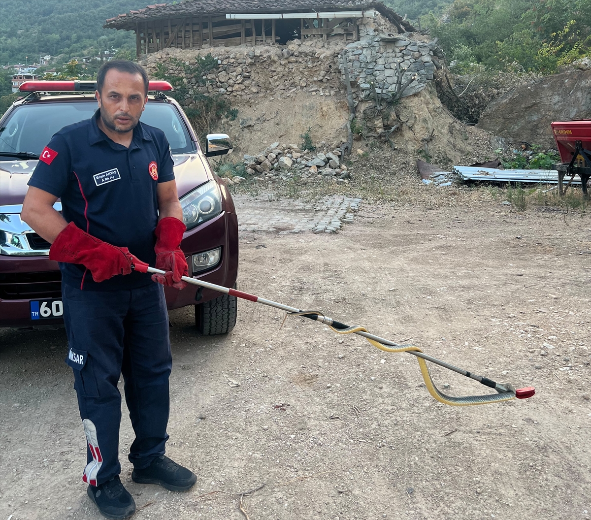 Tokat Niksar'da eve giren yılan itfaiyece yakalandı