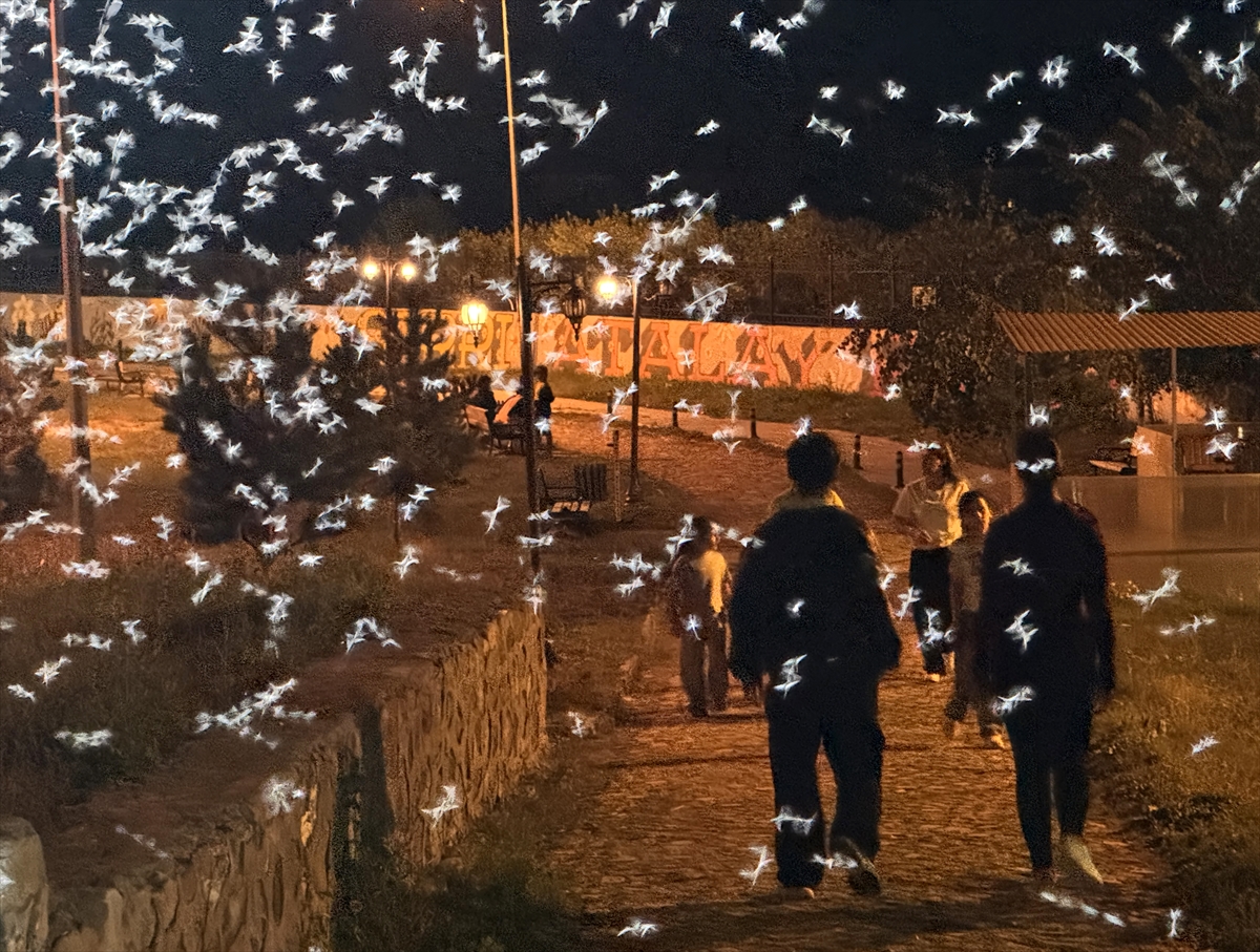 Ardahan'da 'bir günlük' mayıs sineklerinin ölüm dansı başladı
