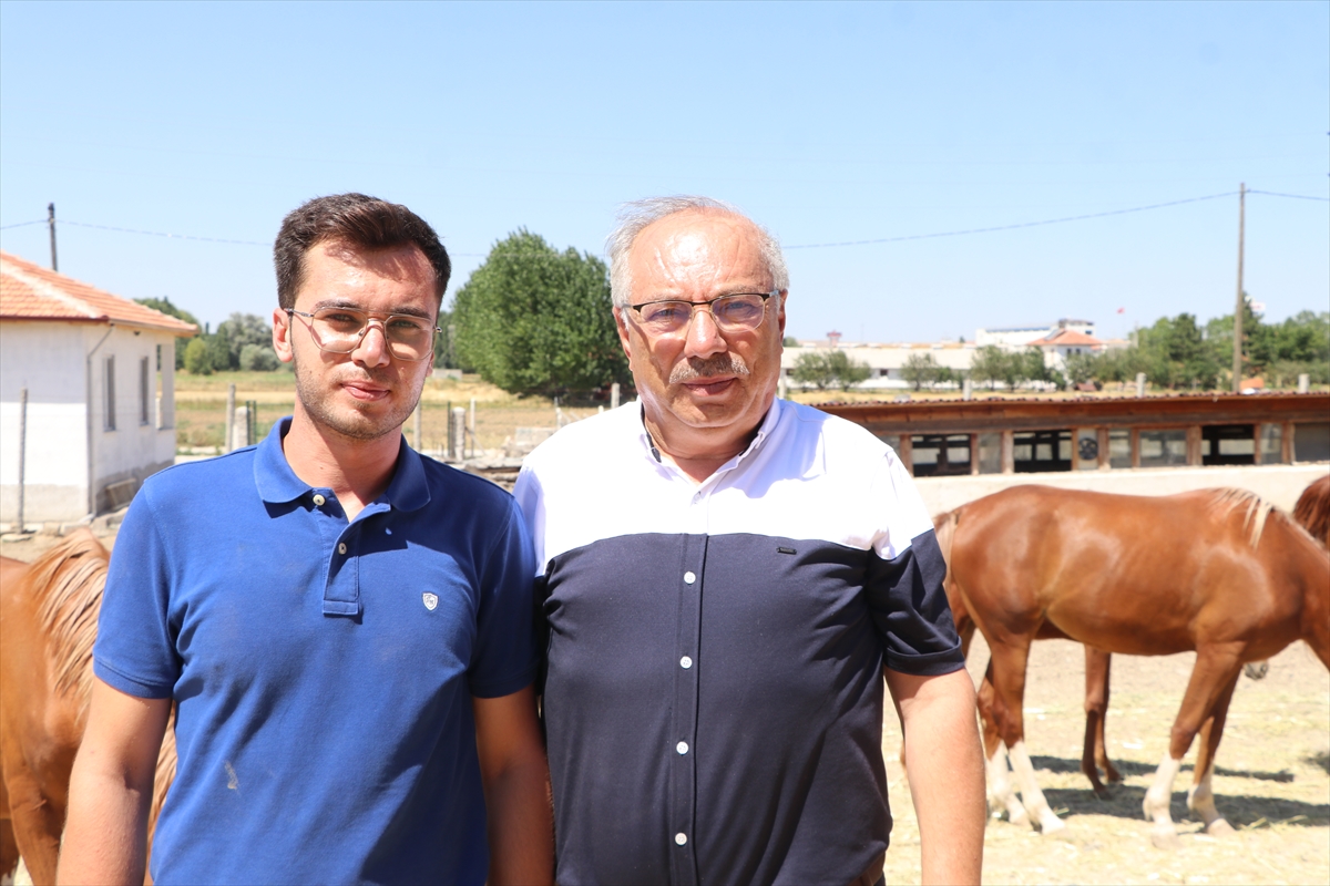 At merakı Yozgat'ta yarış atı yetiştiriciliğine dönüştü