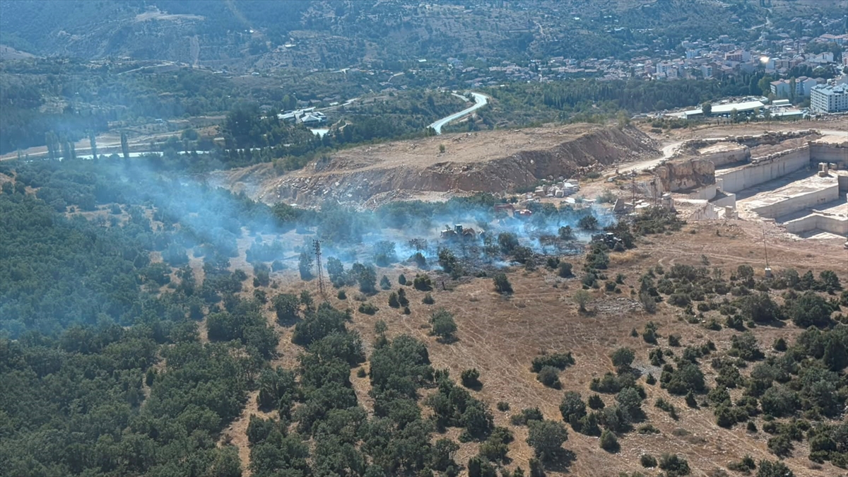 Bilecik'te ormanlık alanda çıkan yangın kontrol altına alındı