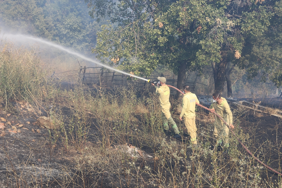 Amasya Taşova'da çıkan yangın: Ağıl ve samanlık kullanılamaz
