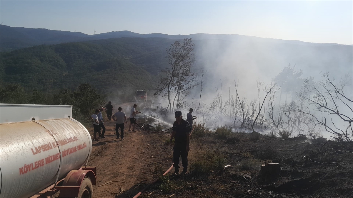 Çanakkale Lapseki'deki orman yangını kontrol altına alındı