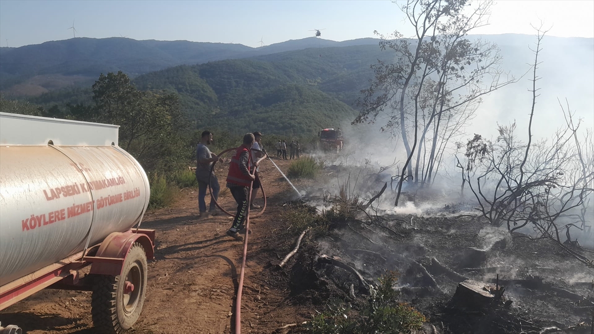 Çanakkale Lapseki'deki orman yangını kontrol altına alındı