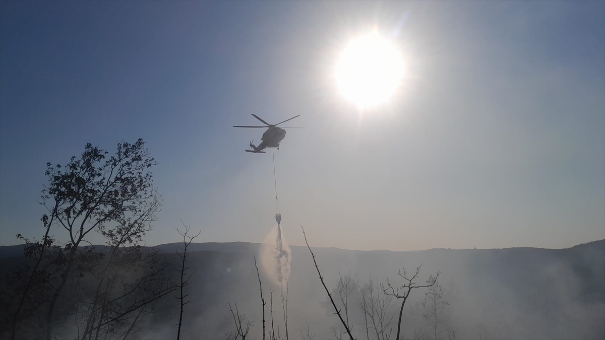 Çanakkale Lapseki'deki orman yangını kontrol altına alındı