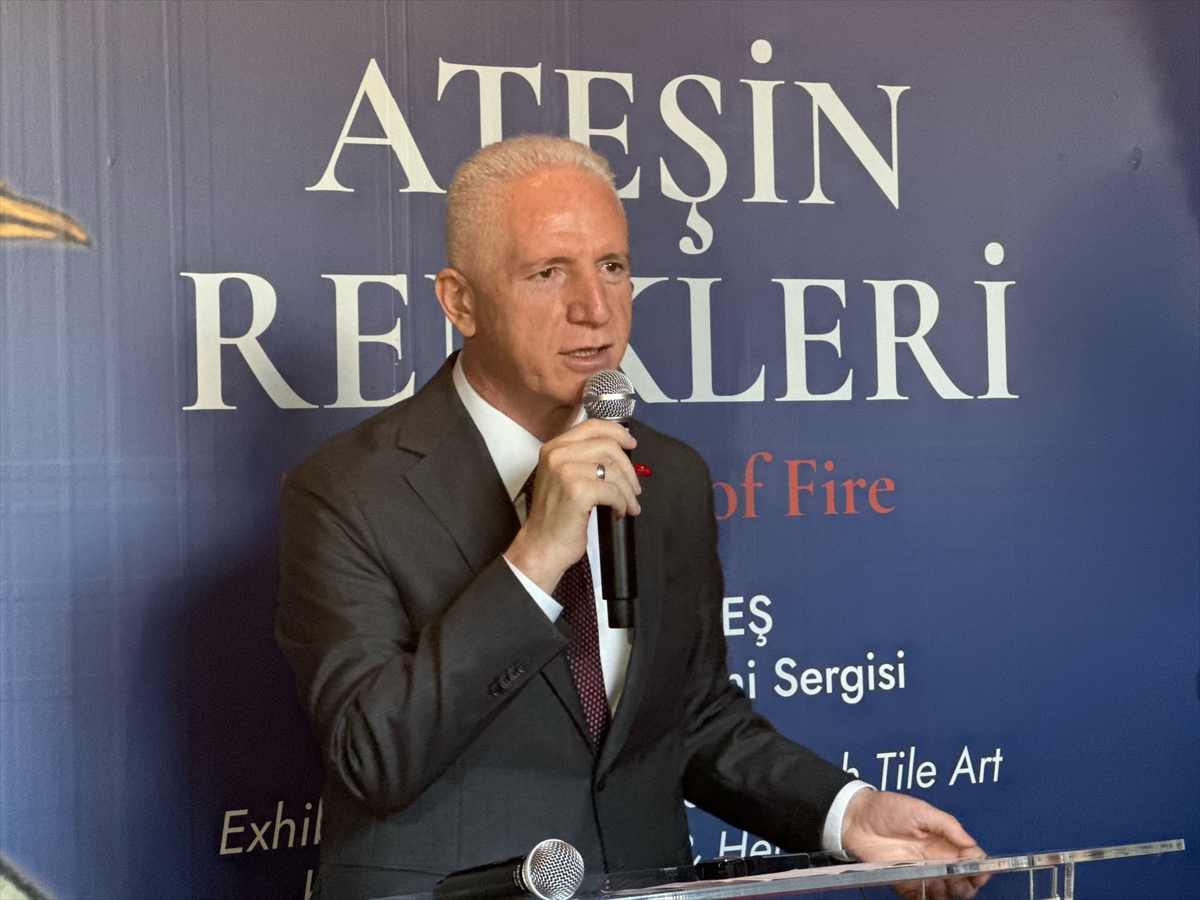Mümine Ateş: Ateşin Renkleri sergisi Filistin'e dikkat çekiyor