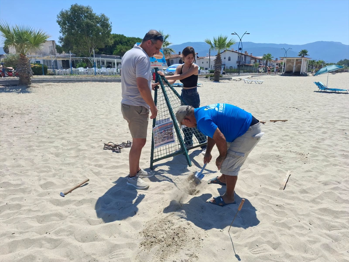 Kuşadası'nda 60 caretta caretta yavrusu denizle buluştu