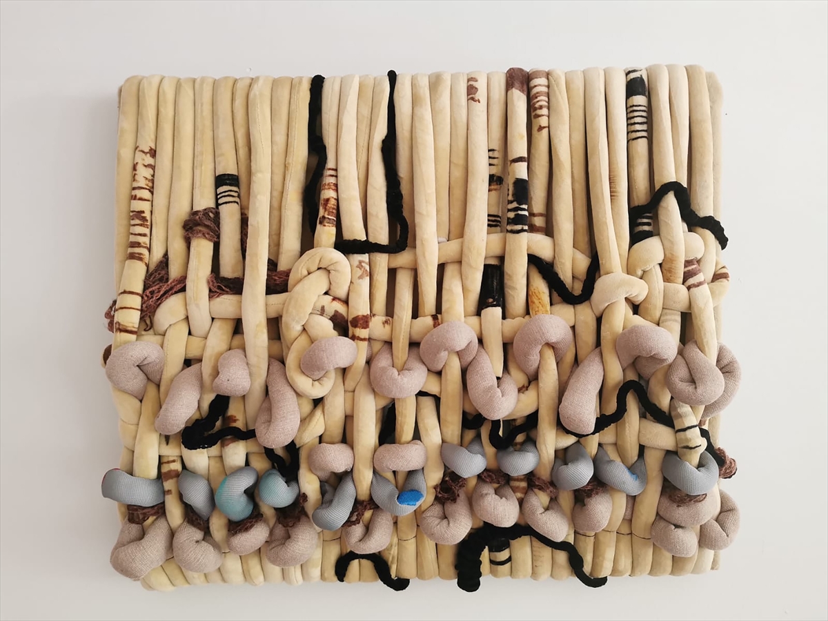 Ekol Tatbiki Sanat Topluluğu 8. sergisiyle AKM'de
