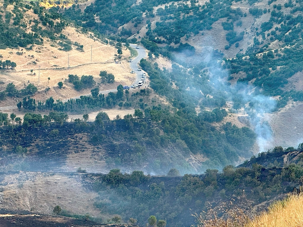 Bitlis'te örtü yangını söndürüldü: 40 hektar zarar gördü