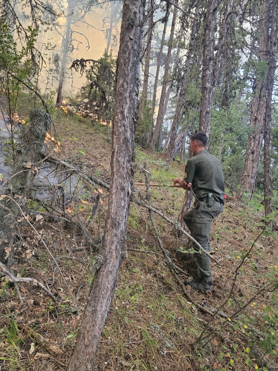 Ankara Nallıhan'da yıldırım düşen orman yangını söndürüldü
