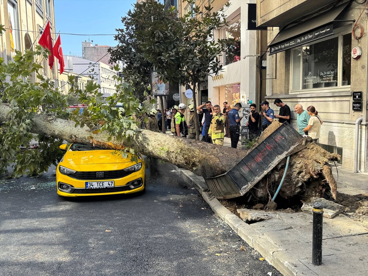 Şişli'de üzerine ağaç devrilen taksi ve otomobilde hasar oluştu