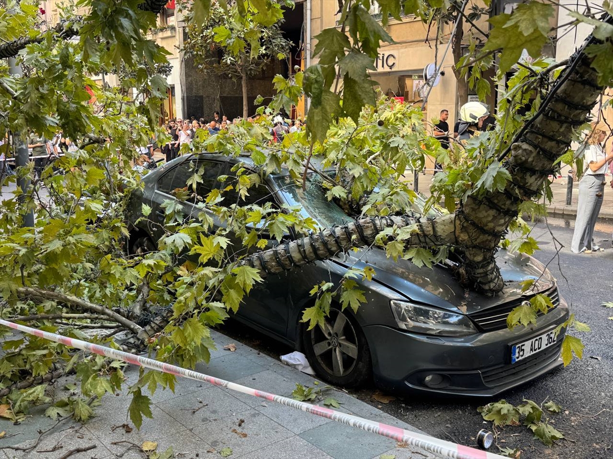 Şişli'de üzerine ağaç devrilen taksi ve otomobilde hasar oluştu