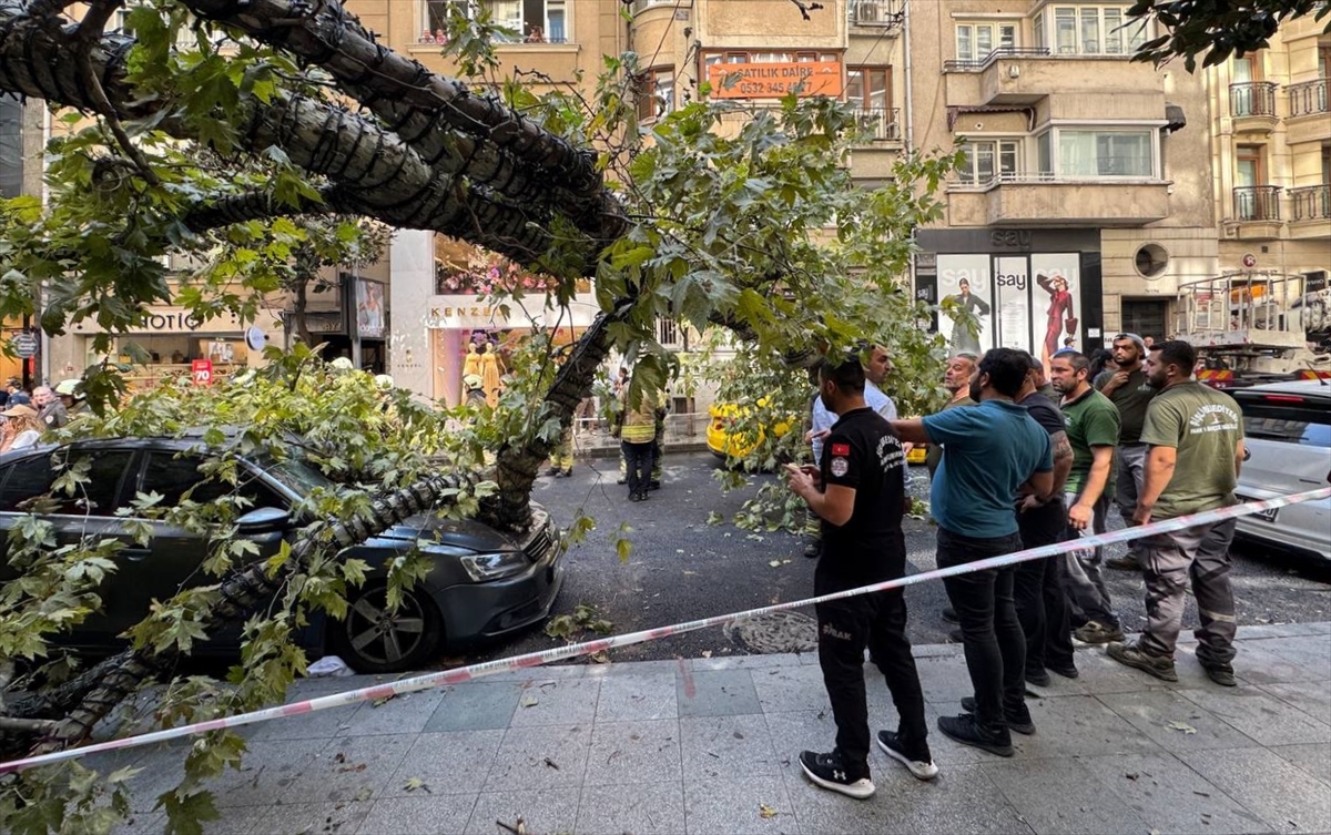 Şişli'de üzerine ağaç devrilen taksi ve otomobilde hasar oluştu