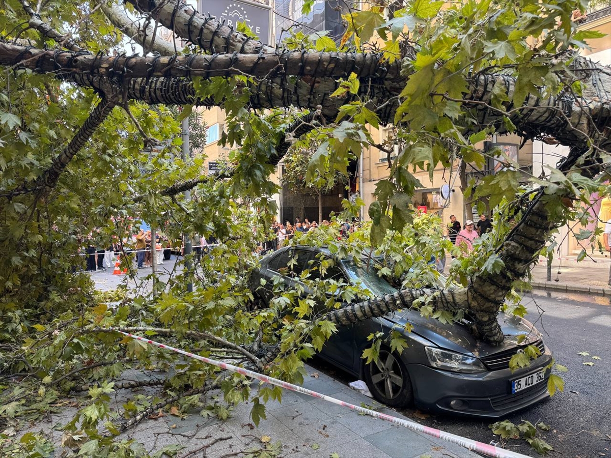 Şişli'de üzerine ağaç devrilen taksi ve otomobilde hasar oluştu