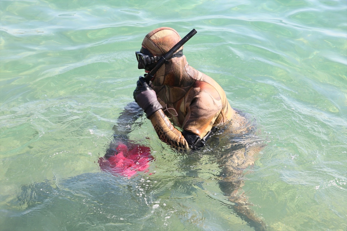 Bodrum'da deniz dibi temizliği: 75 kilogram atık çıkarıldı