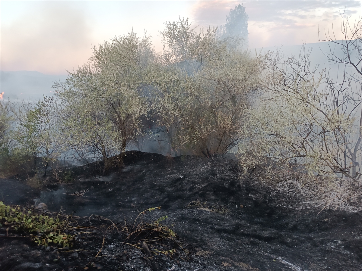 Kastamonu Tosya'da anız yangını 400 dekar araziyi kül etti