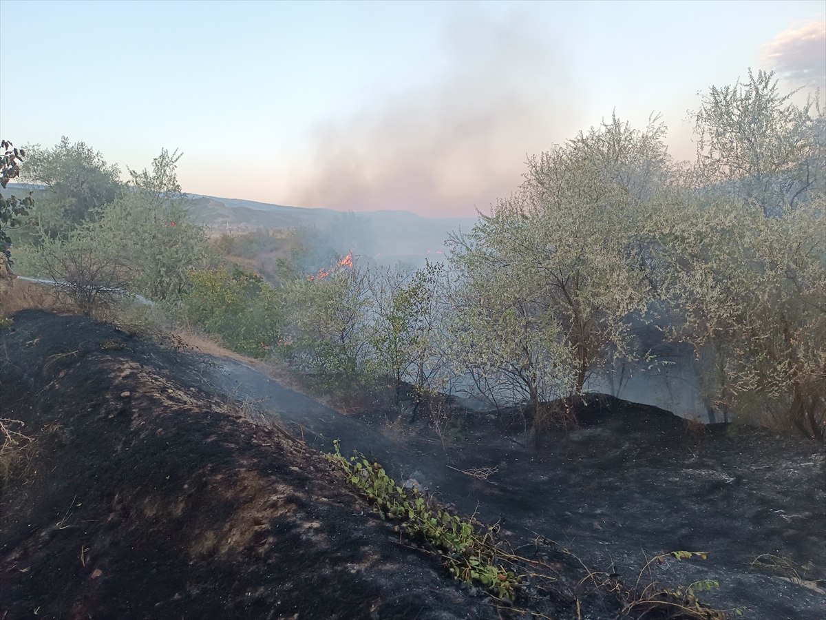 Kastamonu Tosya'da anız yangını 400 dekar araziyi kül etti