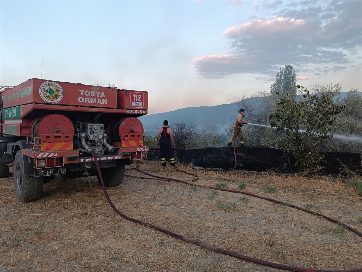 Kastamonu Tosya'da anız yangını 400 dekar araziyi kül etti