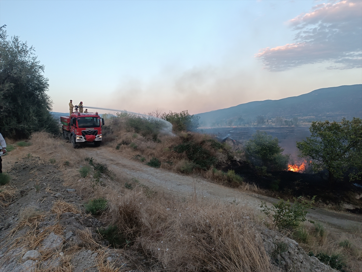 Kastamonu Tosya'da anız yangını 400 dekar araziyi kül etti