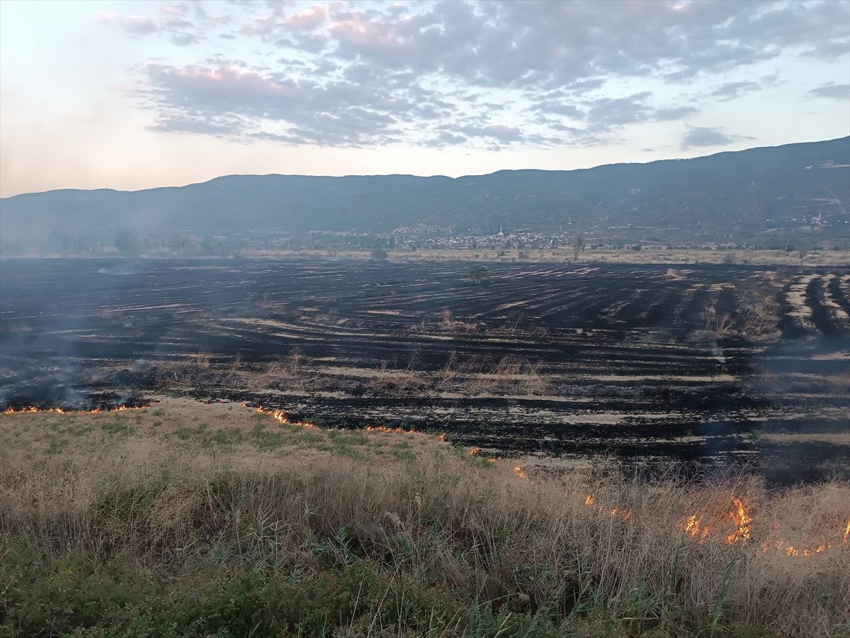 Kastamonu Tosya'da anız yangını 400 dekar araziyi kül etti
