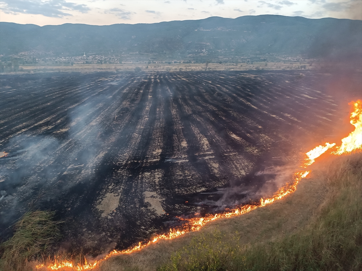 Kastamonu Tosya'da anız yangını 400 dekar araziyi kül etti