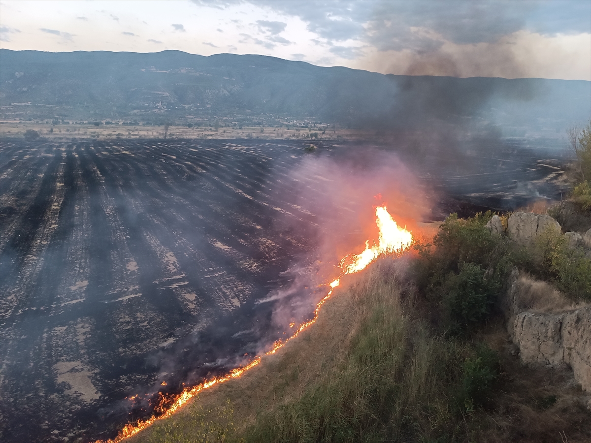 Kastamonu Tosya'da anız yangını 400 dekar araziyi kül etti