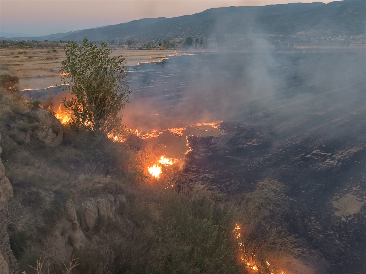 Kastamonu Tosya'da anız yangını 400 dekar araziyi kül etti