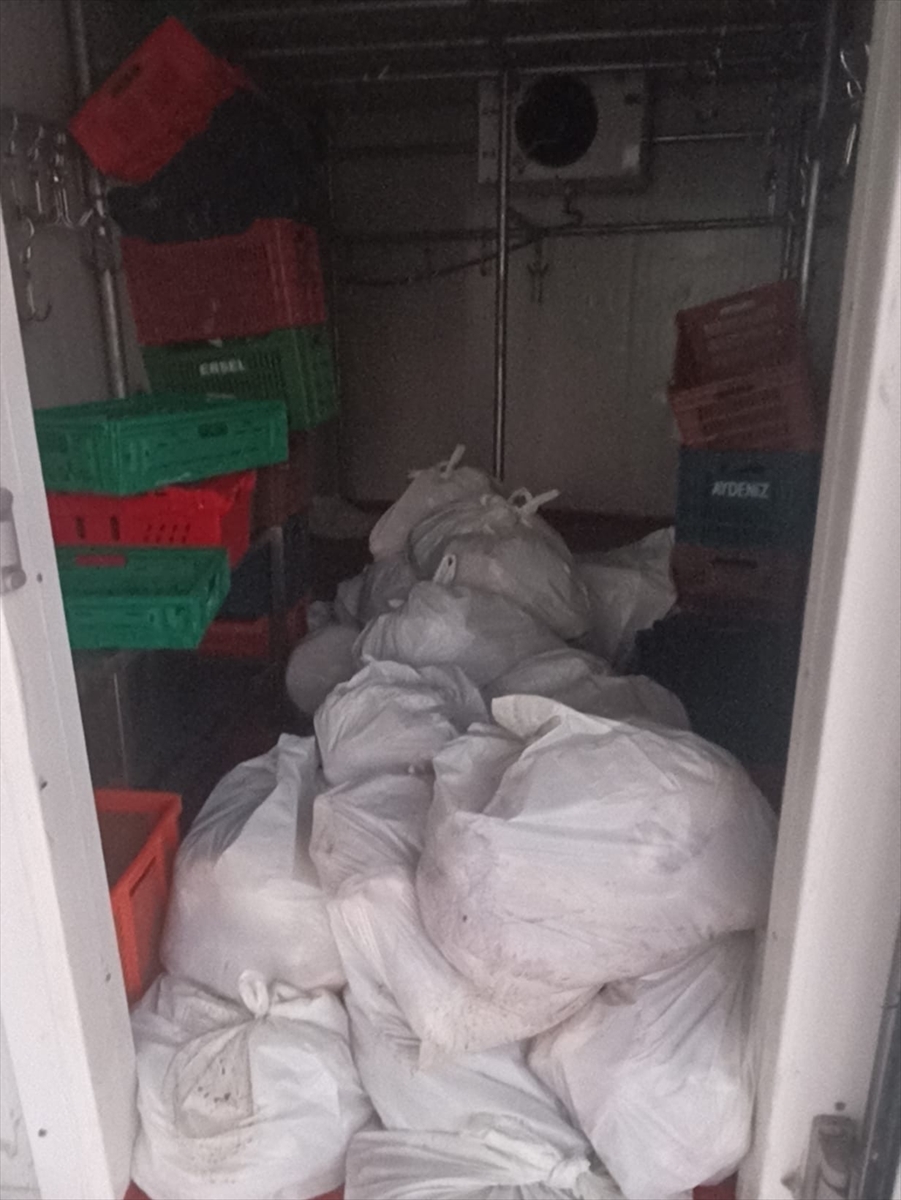 Bodrum'da kasap deposundan yaklaşık 400 kilogram bozuk et çıktı