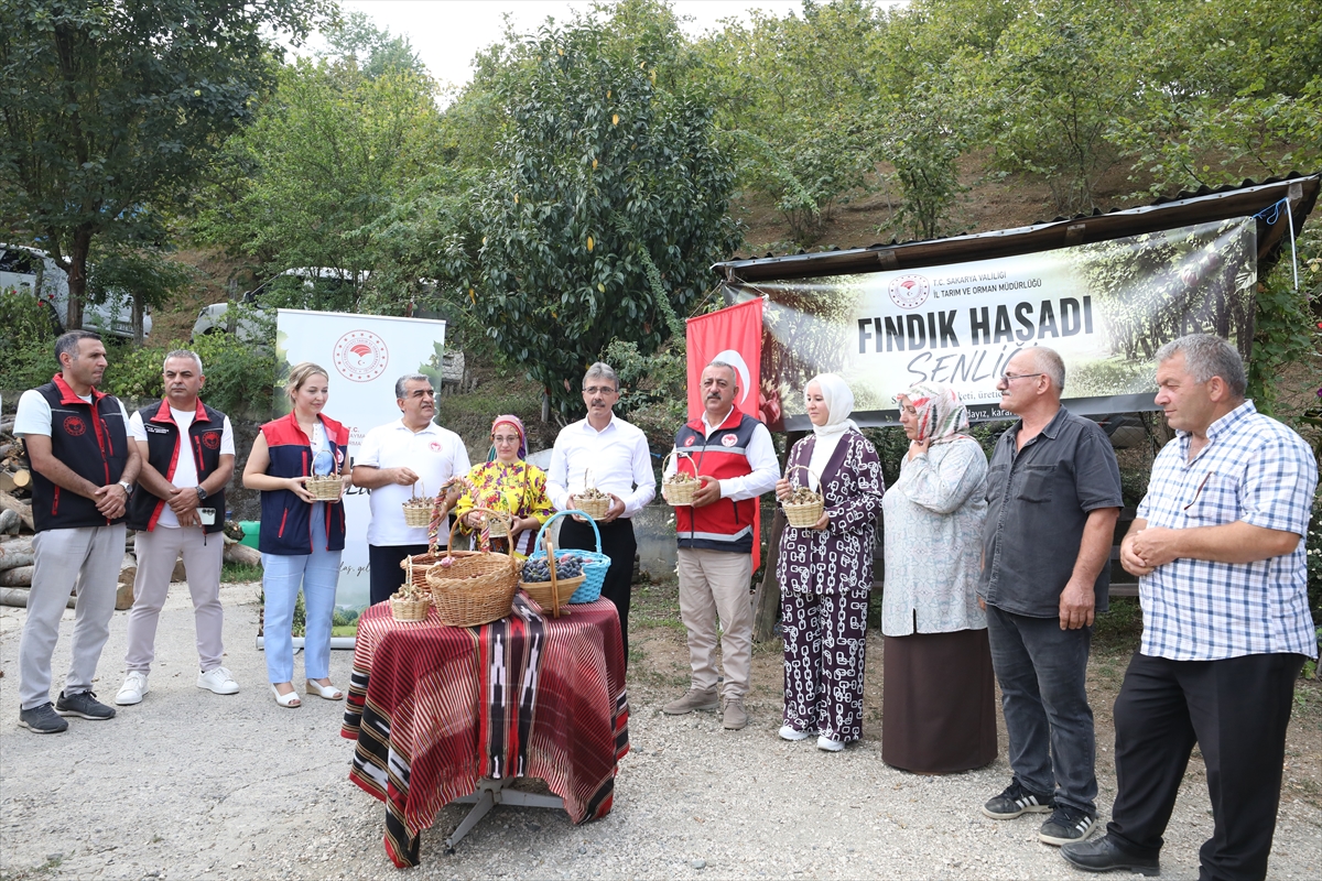 İl Müdürü Asım Baş: Sakarya'da 89 bin ton fındık bekleniyor