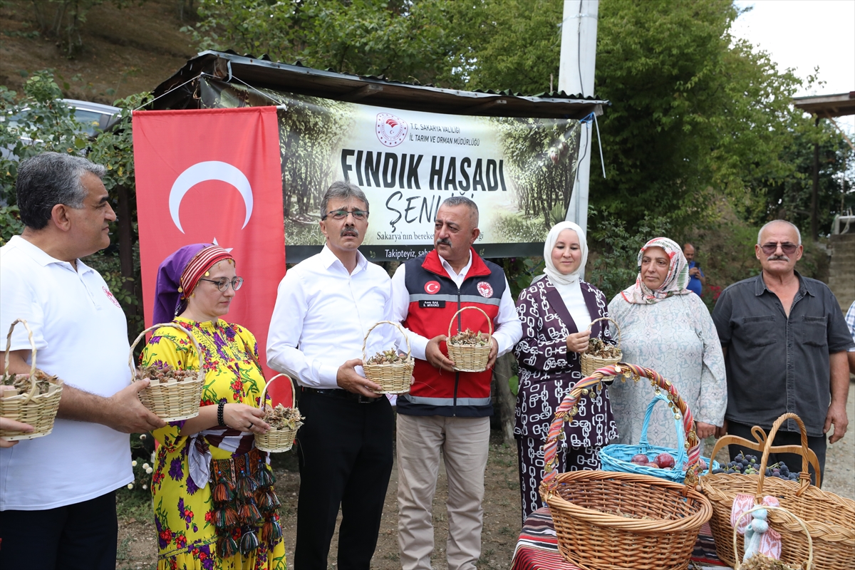 İl Müdürü Asım Baş: Sakarya'da 89 bin ton fındık bekleniyor