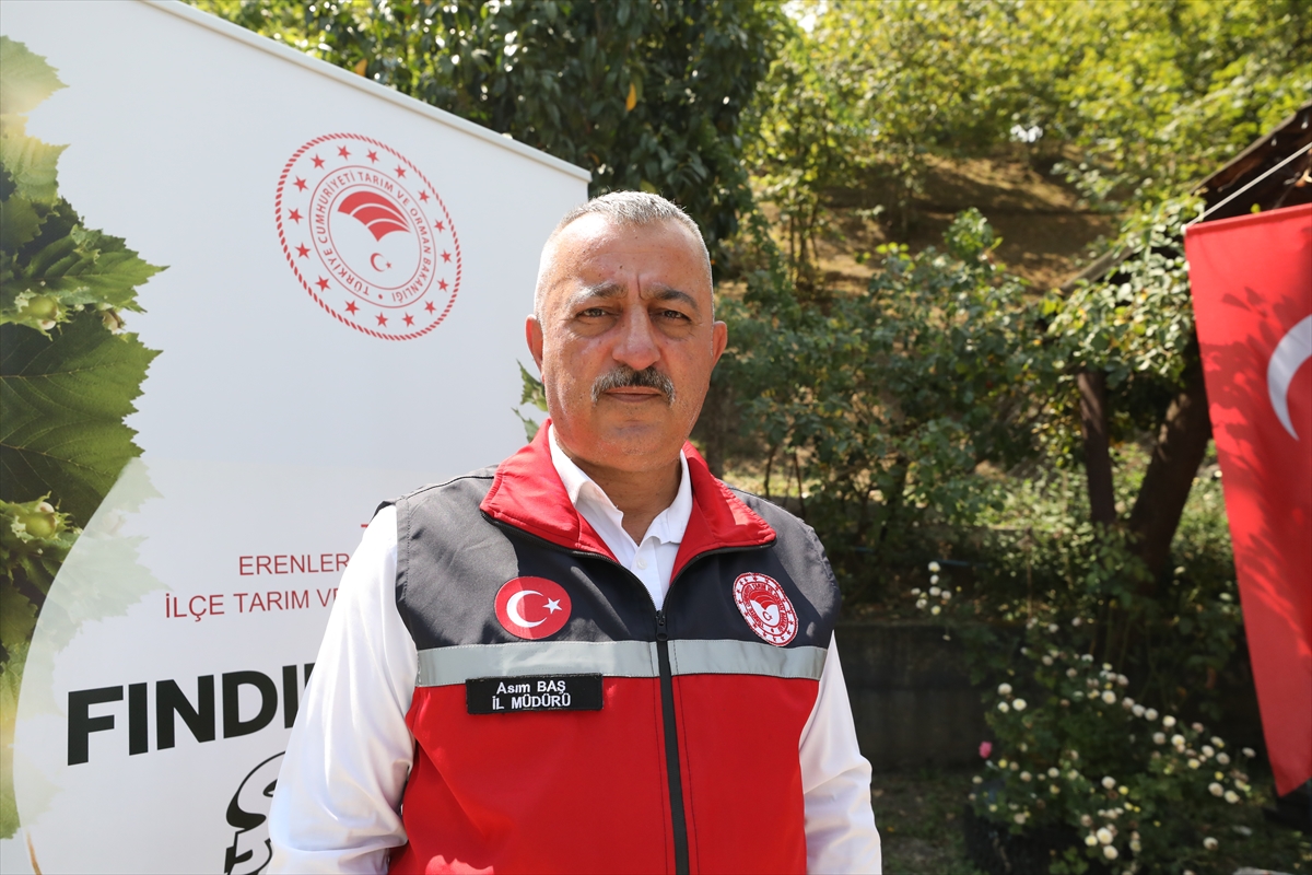 İl Müdürü Asım Baş: Sakarya'da 89 bin ton fındık bekleniyor