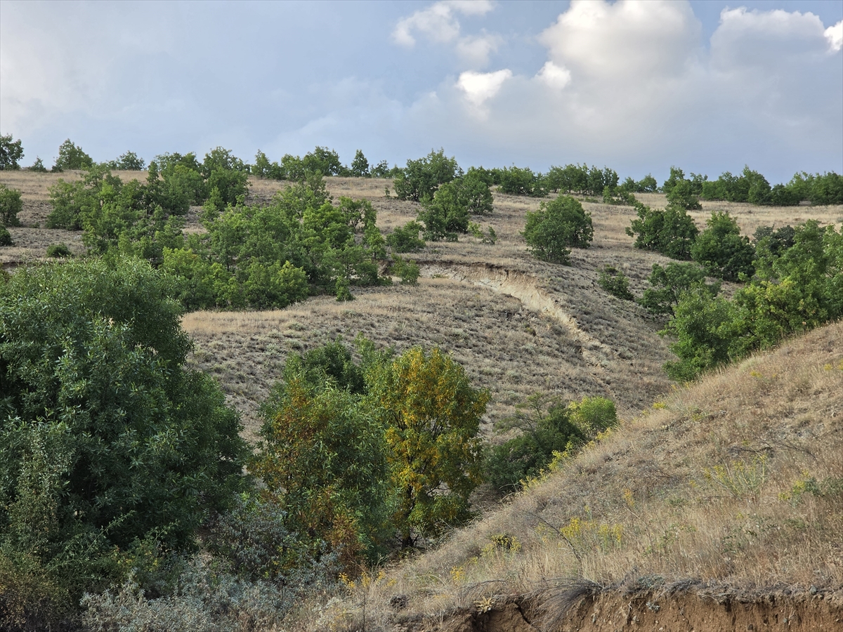 Erzincan Üzümlü'de toprak kayması: 6 bağ evi tahliye edildi