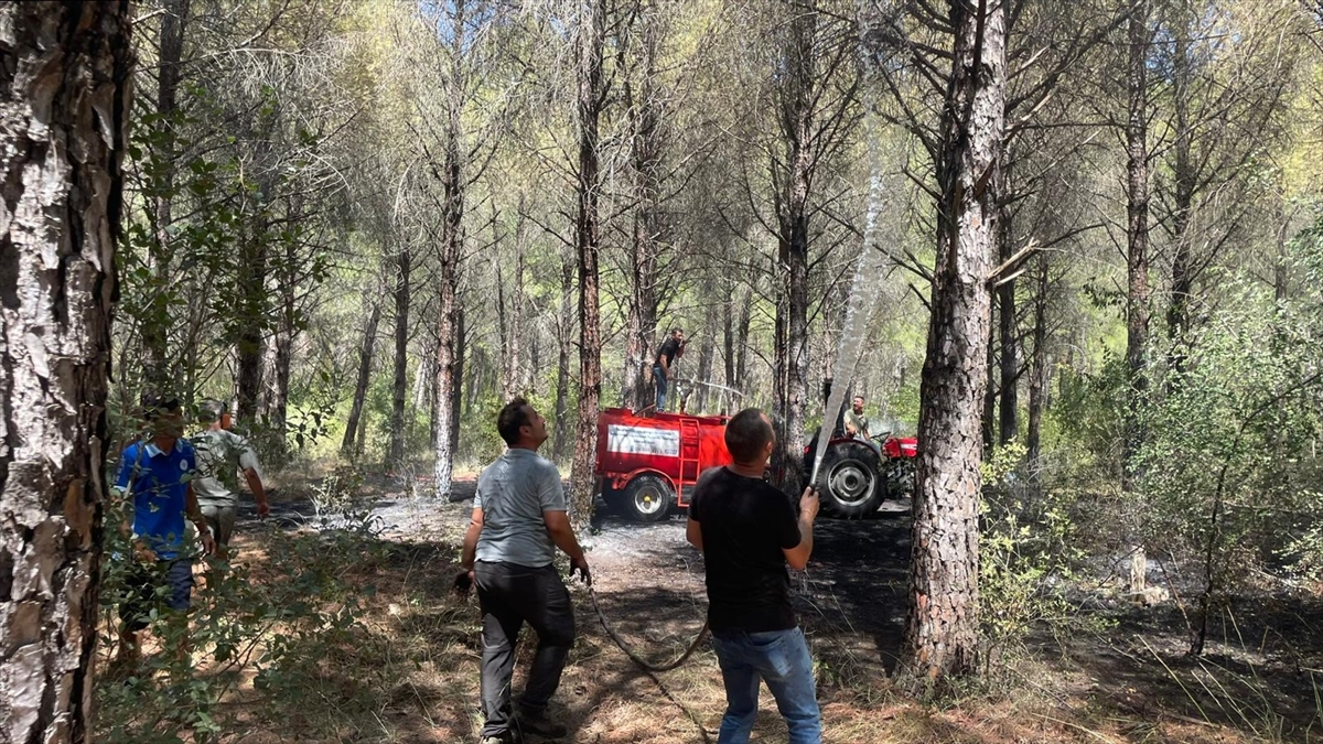 Muğla Ula'da Çıkan Orman Yangını Ekiplerce Kontrol Altına Alındı
