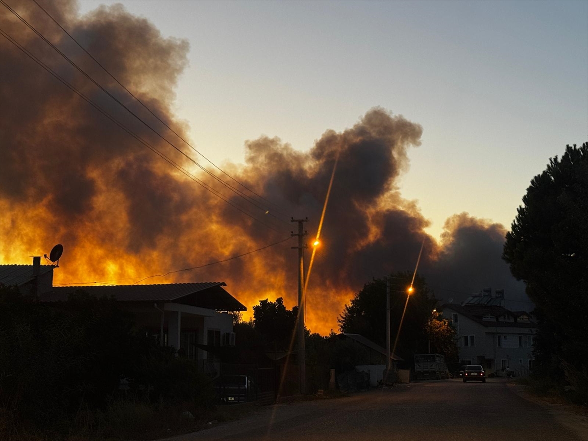 Fethiye'de ormanlık alanda çıkan yangına müdahale ediliyor