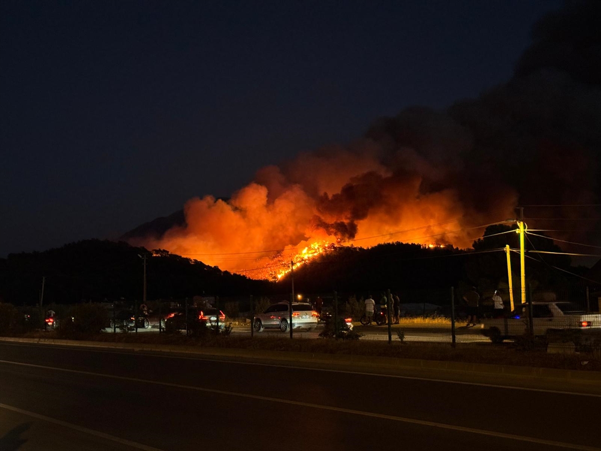 Fethiye'de ormanlık alanda çıkan yangına müdahale ediliyor