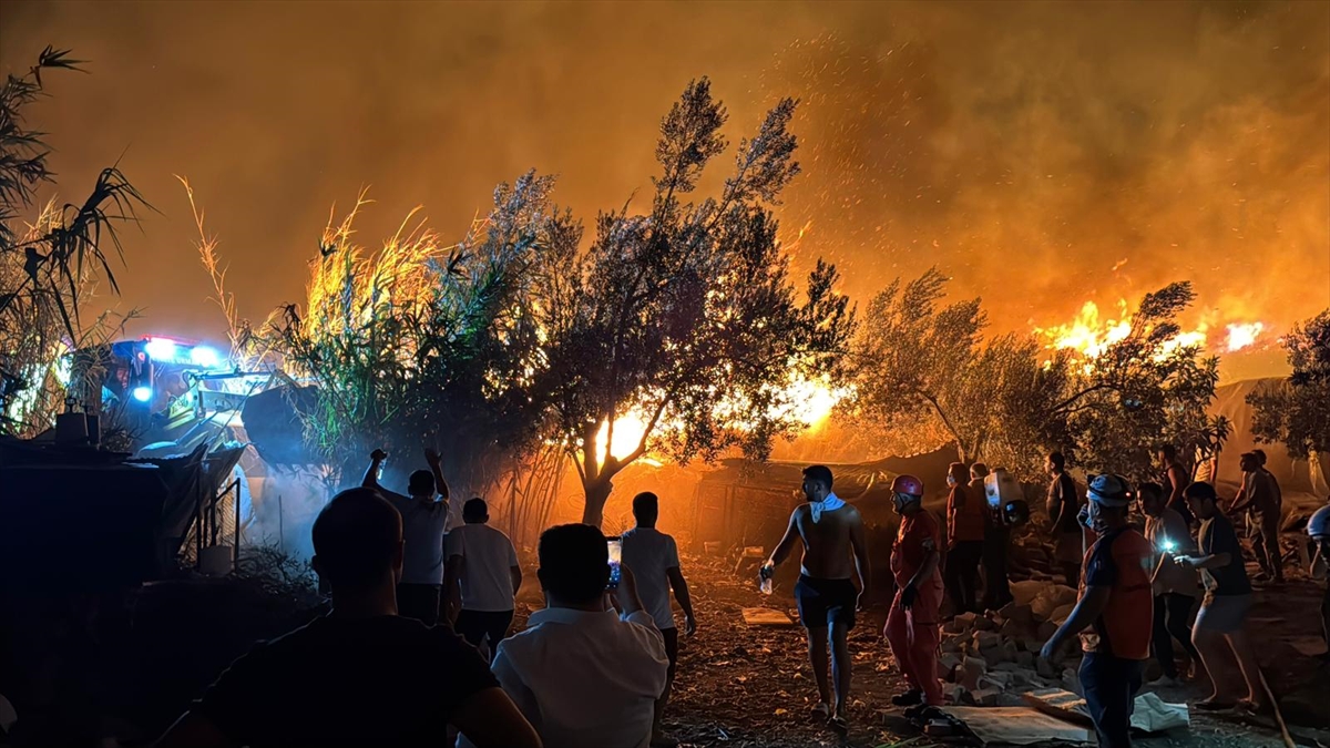 Muğla'da 2 orman yangını büyük ölçüde kontrol altına alındı