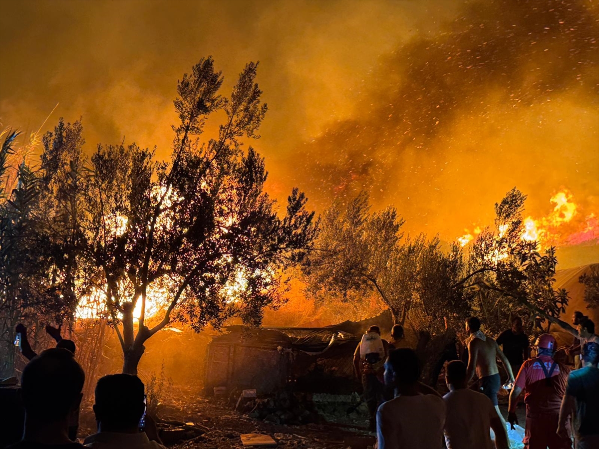 Muğla'da 2 orman yangını büyük ölçüde kontrol altına alındı