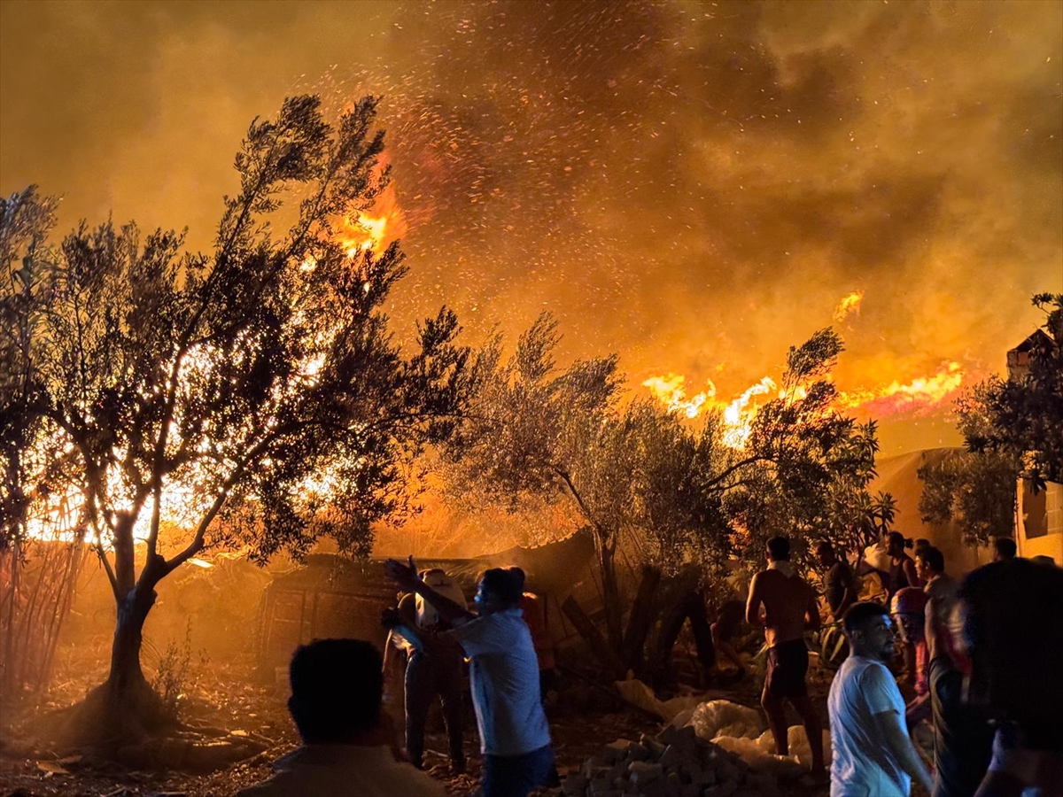 Muğla'da 2 orman yangını büyük ölçüde kontrol altına alındı